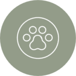 Home pet frendly treffen