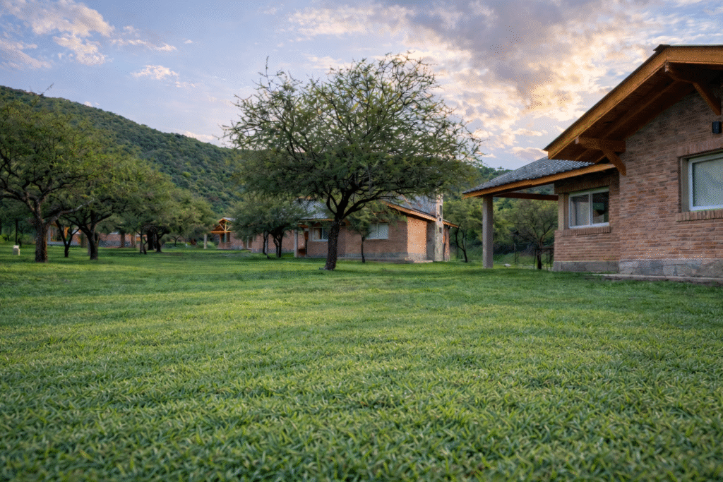 chatgpt image 4 ene 2026, 09 34 24 p.m. chatgpt image 4 ene 2026, 09 34 24 p.m.